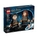 LEGO Harry Potter 76393 Harry Potter & Hermione Granger box front
