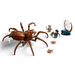 LEGO Harry Potter 76434 Aragog in the Forbidden Forest Aragog detail