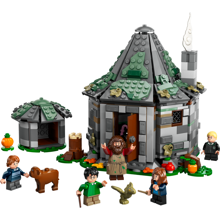 LEGO 76428 Hagrid's Hut: An Unexpected Visit | Retired Harry Potter Set